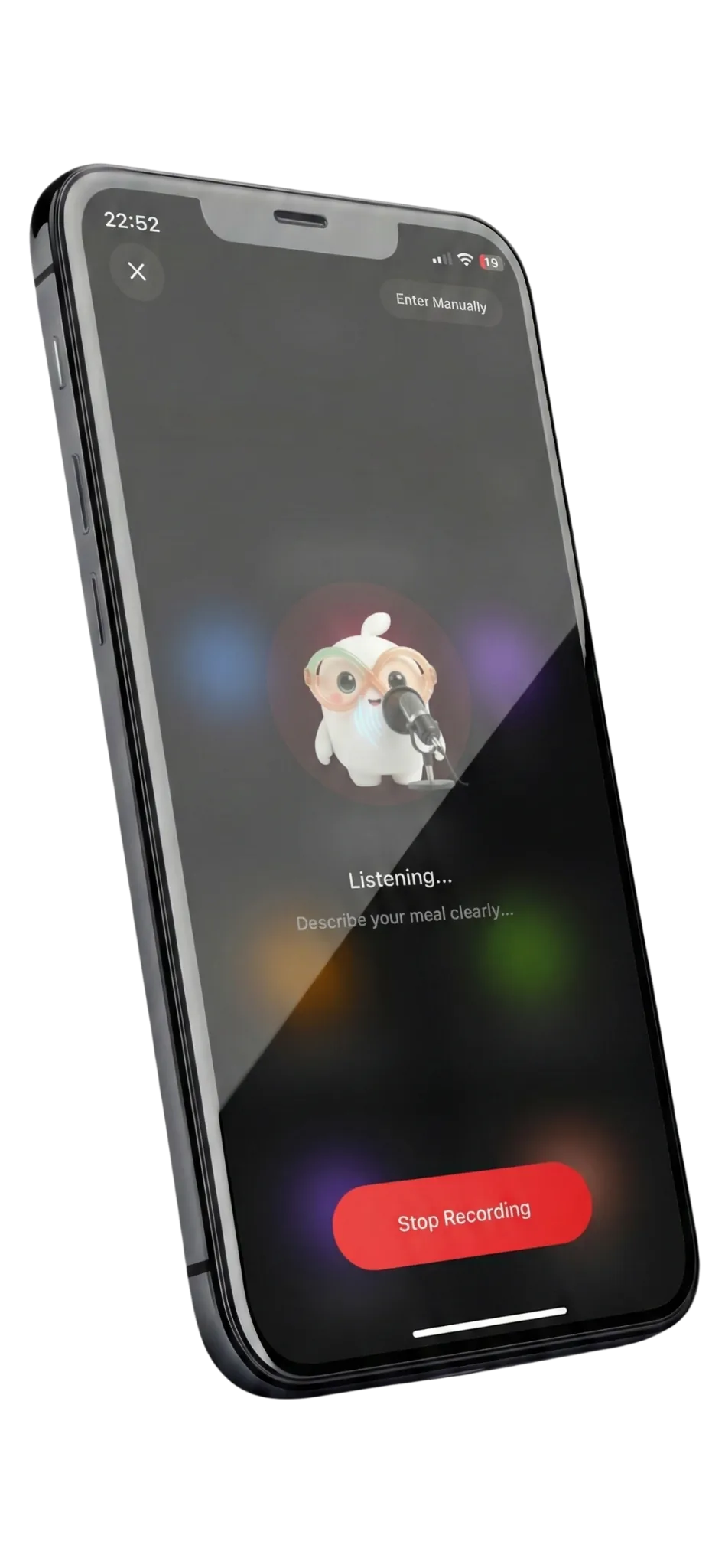 Voice Input